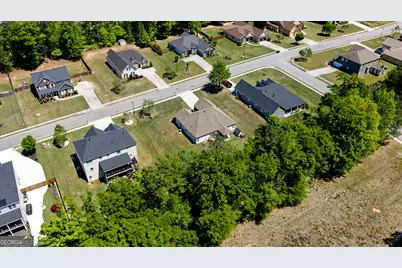 170 Savannah Drive, Senoia, GA 30276 - Photo 37