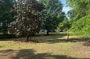 31 Pinewood Ln, Colbert, GA 30628 - Photo 33