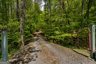 8954 Doublehead Gap Rd, Blue Ridge, GA 30513 - Photo 15