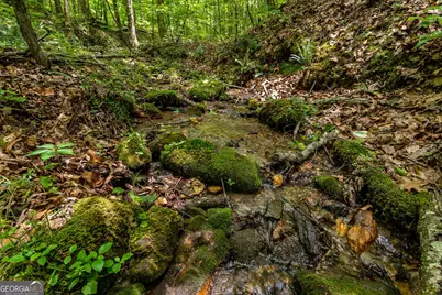 8954 Doublehead Gap Road, Blue Ridge, GA 30513 - Photo 61