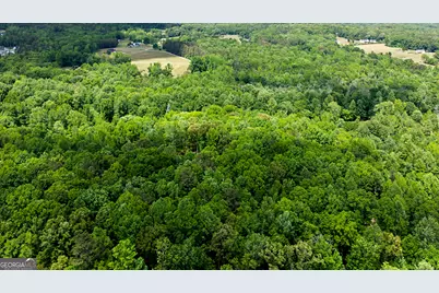 235 Buckeye Farms Drive, Moreland, GA 30259 - Photo 63