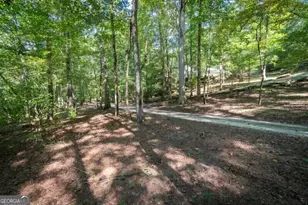 55 Santa Pera Dr, Cleveland, GA 30528 - Photo 33