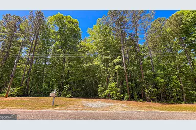 485 Natures Trail, Forsyth, GA 31029 - Photo 113