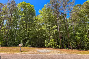 485 Natures Trail, Forsyth, GA 31029 - Photo 113