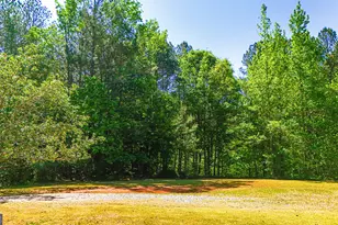 485 Natures Trail, Forsyth, GA 31029 - Photo 103