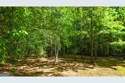 485 Natures Trail, Forsyth, GA 31029 - Photo 97