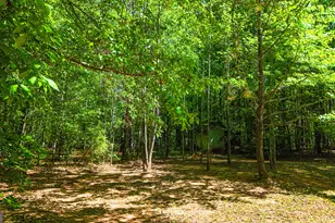 485 Natures Trail, Forsyth, GA 31029 - Photo 97
