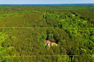 485 Natures Trail, Forsyth, GA 31029 - Photo 67