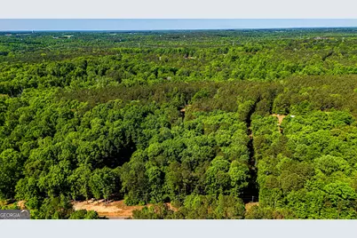 485 Natures Trail, Forsyth, GA 31029 - Photo 115