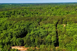 485 Natures Trail, Forsyth, GA 31029 - Photo 115