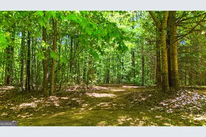 485 Natures Trail, Forsyth, GA 31029 - Photo 99