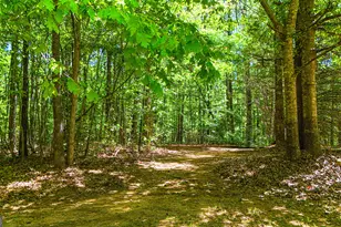 485 Natures Trail, Forsyth, GA 31029 - Photo 99