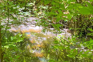 485 Natures Trail, Forsyth, GA 31029 - Photo 107