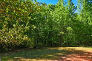 485 Natures Trail, Forsyth, GA 31029 - Photo 89