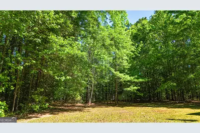 485 Natures Trail, Forsyth, GA 31029 - Photo 95