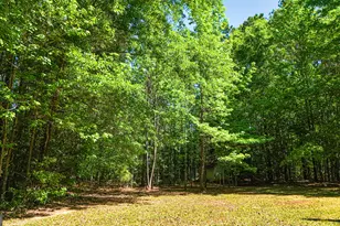 485 Natures Trail, Forsyth, GA 31029 - Photo 95