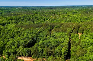 485 Natures Trail, Forsyth, GA 31029 - Photo 65
