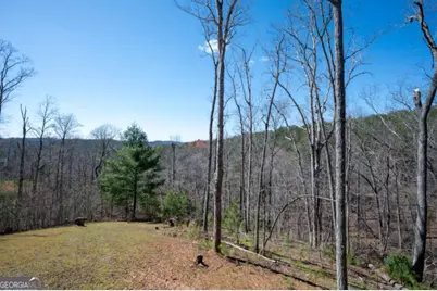 56 Carters View Lane, Ellijay, GA 30540 - Photo 67