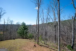 56 Carters View Ln, Ellijay, GA 30540 - Photo 67