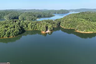 56 Carters View Ln, Ellijay, GA 30540 - Photo 69