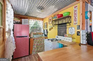 955 Mull Dr, Mineral Bluff, GA 30559 - Photo 51