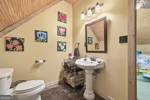 955 Mull Dr, Mineral Bluff, GA 30559 - Photo 41
