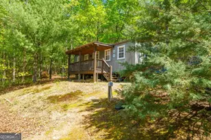 955 Mull Dr, Mineral Bluff, GA 30559 - Photo 49