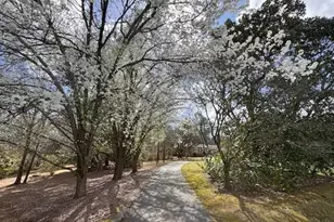 110 Handy Rd, Newnan, GA 30263 - Photo 41