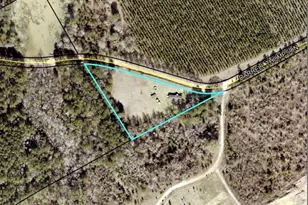 1050 Darrell Thompson Rd, Lyons, GA 30436 - Photo 15