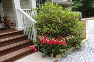 830 Lord-Fleming Rd, Comer, GA 30629 - Photo 21