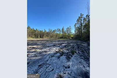 4490 Ga Highway 259, White Oak, GA 31568 - Photo 5