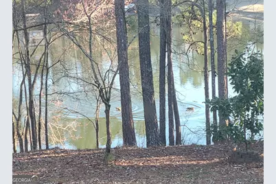 190 Baywatch Circle, Fayetteville, GA 30215 - Photo 33