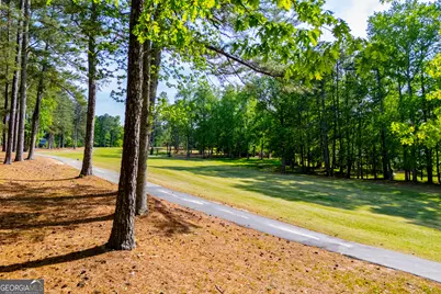 7378 N Mitchell Court, Villa Rica, GA 30180 - Photo 87