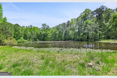 143 Cedar Creek Road, Newnan, GA 30263 - Photo 47
