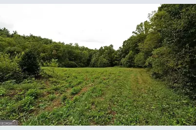0 Lloyds Cove, Scaly Mountain, NC 28775 - Photo 11