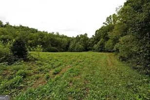0 Lloyds Cove, Scaly Mountain, NC 28775 - Photo 11
