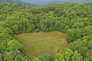 0 Lloyds Cove, Scaly Mountain, NC 28775 - Photo 9