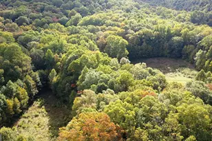 0 Lloyds Cove, Scaly Mountain, NC 28775 - Photo 23