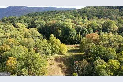 0 Lloyds Cove, Scaly Mountain, NC 28775 - Photo 19