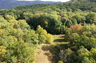 0 Lloyds Cove, Scaly Mountain, NC 28775 - Photo 19