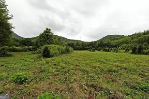 0 Lloyds Cove, Scaly Mountain, NC 28775 - Photo 15