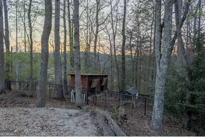 141 Chambers Mountain, Mineral Bluff, GA 30559 - Photo 13