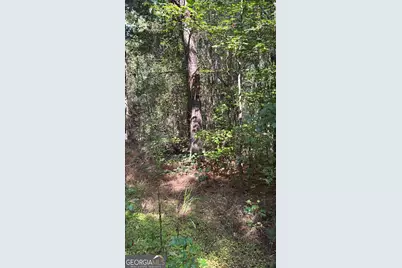 230 Dodgen Road, Hampton, GA 30228 - Photo 3