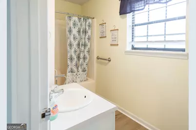 3113 Ware Street, Blackshear, GA 31516 - Photo 29