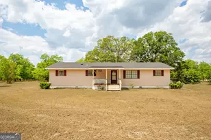 3113 Ware St, Blackshear, GA 31516 - Photo 5