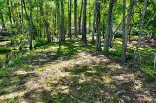 641 Ragsdale Rd, Sharpsburg, GA 30277 - Photo 45