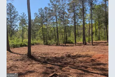 6 Mangum Lane, Pendergrass, GA 30567 - Photo 5