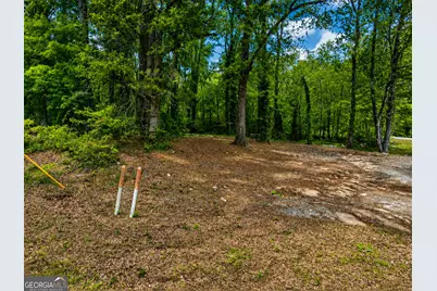 .36 Acres Elm Street, Hampton, GA 30228 - Photo 5