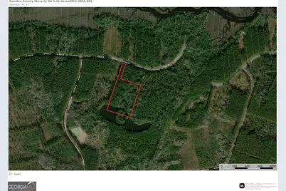 5.01 Acres La Sole Lane, Waverly, GA 31565 - Photo 1