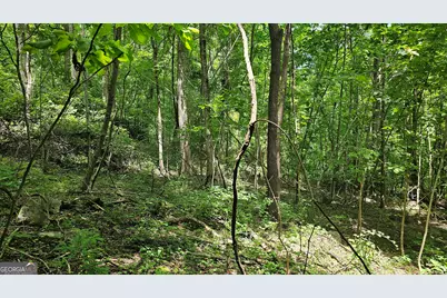 0 Winding View Drive, Clayton, GA 30525 - Photo 11